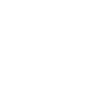 NucleoTI
